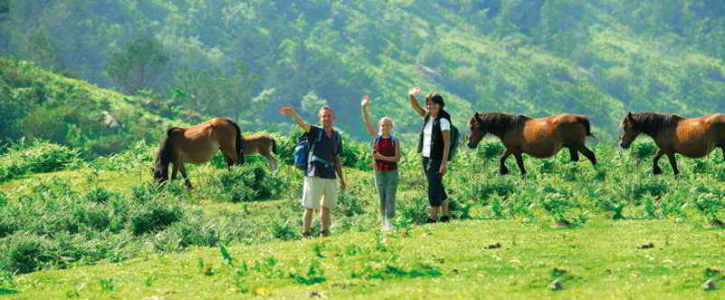 Vvf Pays Basque La Rhune Parco vacanze
